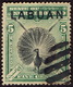 Labuan 1897, Great Argus Pheasant - Noord Borneo (...-1963)