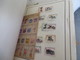 Delcampe - VRAC DE 6 Kilos Environ,,FRANCE-SUISSE-BELGIQUE ,,lire Description - Lots & Kiloware (mixtures) - Min. 1000 Stamps