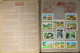 Delcampe - ALBUM NESTLE 1938 - 1939 Pratiquement Complet Il Manque Quelques Images - En Bon Etat D'Usage - Albums & Katalogus