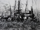 Rare!  Belle Grande Photo Ancienne Australie Australia Tractor Tracteur Métier - Places