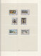 Delcampe - Europa Cept 1981 : Year Collection According To LINDNER Album Pages  (9 Scans) / MNH - 1981