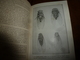 Delcampe - Entomologie Par J. H. FABRE - Mœurs Des Insectes - Avec 16 Planches Hors-texte - Sciences