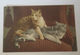 "Katzen, Sofa"  1910 ♥  - Chats