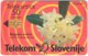 SLOVENIA B-550 Chip Telekom - Plant, Flower / Sport, Basketball - Used - Slovénie