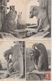 19 / 4 / 305  -  Lot  D E  19  CPA   -  PARIS  -     CHIMÈRES  DE. NOTRE DAME  - Toutes Scanées - 5 - 99 Postcards