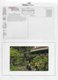 Delcampe - USA; 41 Different Postcards Cemetry And House Paul Morphy; 30x Morphy Text On Backside 11x Without - Souvenirs & Special Cards