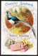 CHROMO   Chocolat SUCHARD    Faisans   Phasianus Amherstiae  Pheasants   Serie 84 - Suchard