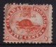 Canada 1859 Beaver 5c Pale Red Used - SG 31, Sc 15 - - - - See Notes - Usati