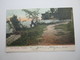 TRINIDAD , Postcard With Stamp Send To Germany 1909 - Trinidad