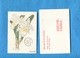 MONACO -MAGNIFIQUE Série 5 Cartes Maximun-Fleurs-flowers-expo Osaka 90-+enveloppe +carte Crown Princess - Cartes-Maximum (CM)