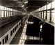 CONSTRUCTION SLEEPING CARS CANADIAN NATIONAL RAILWAYS  PHOTOGRAPH  Fonds Victor FORBIN (1864-1947) - Trenes