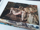 Lot 100  CPM - 5 - 99 Postcards