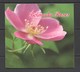 UU706 BERMUDA FLORA FLOWERS ROSES #1082-91 MICHEL 12 EURO BOOKLET MNH - Roses