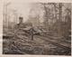 BUILDING A FOREST RAILWAY  Dendrology, Forest, Xylology, Forestry  Fonds Victor FORBIN (1864-1947) - Trenes