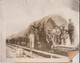 ILWACO RAILWAY SITKA SPRUCE WASHINGTON  Dendrology, Forest, Xylology, Forestry  Fonds Victor FORBIN (1864-1947) - Trenes