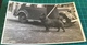 Old Real B&W Photo Postcard ~ Dog On Lead ~ Jerome Ltd - Dogs