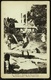 Haiti  -  Environs De Port-au-Prinse  -  Marchande De Pois  -  Ansichtskarte Ca. 1910    (10656) - Haiti