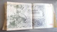 Billet 100 Shillings AUTRICHE 1949 - 1 Pound