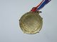 BELLE GROSSE MEDAILLE Art Martial JUDO 5 CM - Sports De Combat