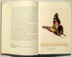 Delcampe - CHROMO-ALBUM DE WONDERWERELD DER TROPISCHE VLINDERS * ARTIS VLINDER PAPILLON BUTTERFLY Prentenboek Plaatjes BOEK Z743 - Albums & Catalogues