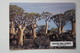 AFRICA-NAMIBIA: QUIVER TREE FOREST. SOUTHERN NAMIBIA - Old Postcard - Uganda Stamp - Namibia