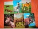 89 Kaarten Met PAARDEN - HORSES - CHEVAUX (zie Foto's) - 5 - 99 Postcards