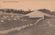 Suisse : SAINT-CERGUE : Chalet De L'arzière ( Avec Vaches ) - Saint-Cergue