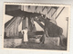 Willaupuis - 1948 - Personnes Sous Le Moulin à Vent - Personen Onder De Windmolen - Photo Format 7 X 10 Cm - Autres & Non Classés