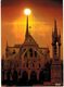 Delcampe - LOT N°157 - LOT DE 500 CARTES DE NOTRE DAME DE PARIS - Notre Dame De Paris