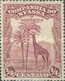 MINT  STAMPS  Mozambique Nyassa - Giraffe	 -1921 - Mozambique