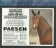 ZAKKALENDER CALENDRIER 1997 DARCO BELGISCH PAARD HENGST SPRINGPAARD TEGELHUIS PAESEN PEER HOUTHALEN WIJCHMAAL - Petit Format : 1991-00