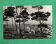 Croatie Croatia Mali Losinj ( Format 10,1cm X 15cm ) - Croatie