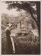 In Gardens Of The Days Of Good Queen Bess  Botánica Botany Botanique Botanik  Fonds Victor FORBIN (1864-1947) - Other & Unclassified