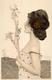 Kirchner, R. Frauen  Künstlerkarte I-II Femmes - Kirchner, Raphael