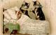 Katze Personifiziert Lithographie 1903 I-II (fleckig) Chat - Katzen
