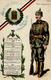 Regiment Braunschweig (3300) Nr. 208 Reserve Infant. Regt. 1917 I-II (fleckig) - Regimente