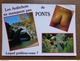 Delcampe - 15 Kaarten Met NAAKT - NUDE - NAKED (zie Foto's) Lot1 - 5 - 99 Cartes