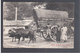 CEYLON Native Bullock Cart 1908 OLD POSTCARD - Sri Lanka (Ceylon)