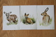 Zoogdieren Hert Haas Vos Deer Hare Fox Renard Lièvre Cerf 2019 Nederland  Ongebrukt / Not Used / New - Other & Unclassified