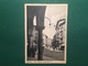 Cartolina Treviso - Via Vittorio Emanuele III - 1943 - Treviso