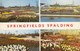 Postcard Springfields Spalding Tulip / Tulips My Ref  B13084 - Fiori