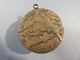 Delcampe - + MEDAILLE PENDENTIF ASIATIQUE ARTS MARTIAUX EN BRONZE @ Japon Sport Asie - Martial Arts