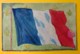 8527 - Drapeau De La France Et Fleurs De Lys Carte Coloriée à La Main - Autres & Non Classés