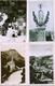 65 - LOURDES - 8 Cartes De La Grotte Miraculeuse Et Basilique - Lourdes