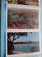 Delcampe - A Souvenir Of Beautiful SYDNEY > 14 Views ( Letter Card / Nucolorvue Set N° 2 ) Anno 19?? ( See / Voir / Zie Photo ) ! - Sydney