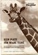 BAMBUTI - NO PLACE FOR WILD ANIMALS 1956 By GRZIMEK Original German Film Program - Film & TV