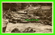 LYNTON, UK - HILL CORNER, LYNMOUTH, THE AUGUST 1952 FLOOT - ANIMATED -  F. FRITH & CO LTD - - Lynmouth & Lynton