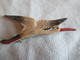 Bijou Fantaisie Ancien/Petite Broche /Plastique/ Cigogne Volant/ ALSACE ? /Vers 1920-50         BIJ112 - Andere & Zonder Classificatie