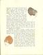 3420 "DA GAZETTE DU BON TON (PUBBL. DAL1912 AL1925)"DE LA COIFFURE-DA PAG.205 A PAG.208-ORIGINALE - 1900 - 1949