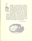 3423 "DA GAZETTE DU BON TON (PUBBL.1912/1925)"LES VOILES- PAG.197/PAG.200-ORIG. - 1900 - 1949